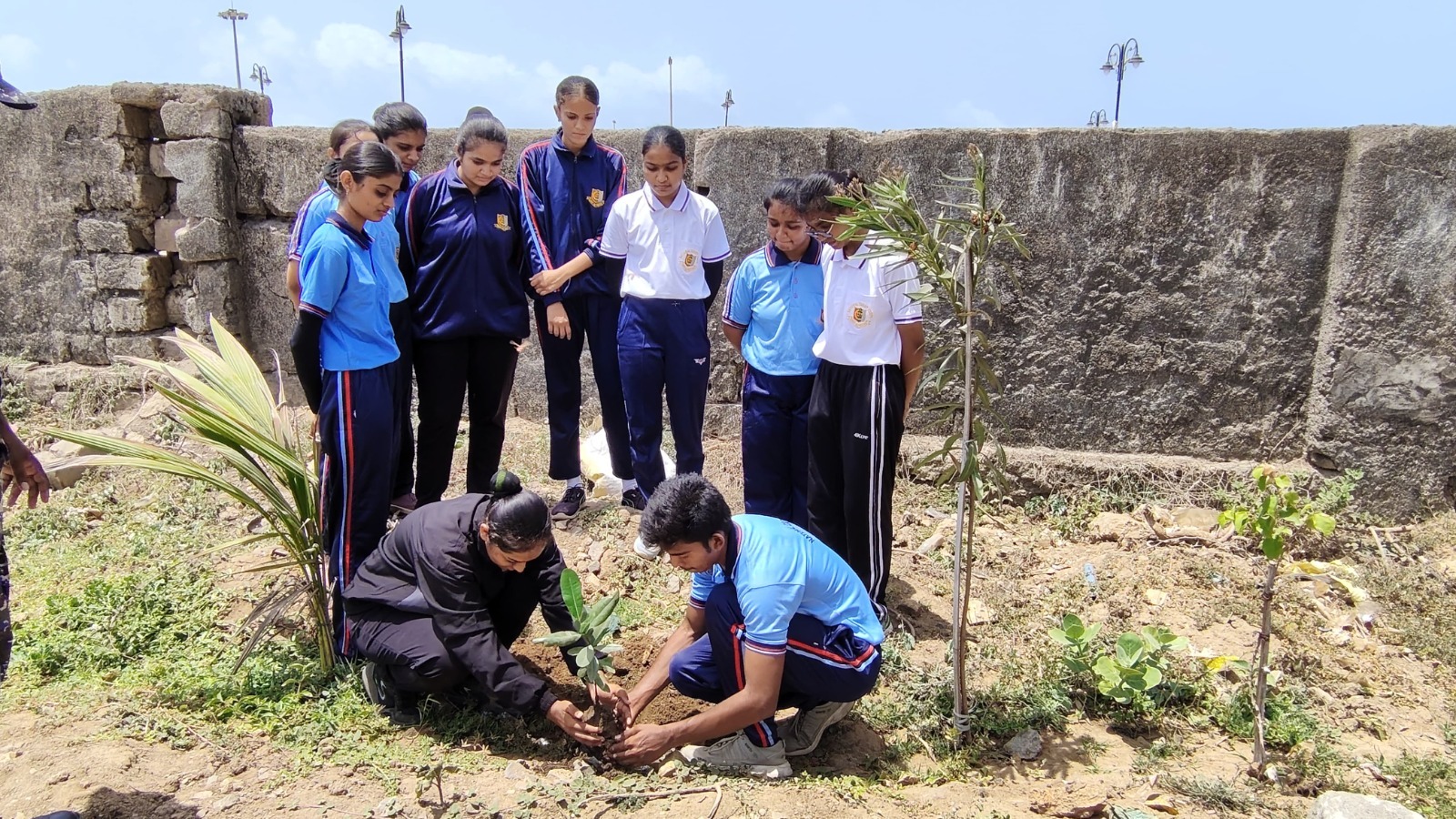 🌱🌍 World Environment Day Plantation Drive by NCC Students🌍🌱