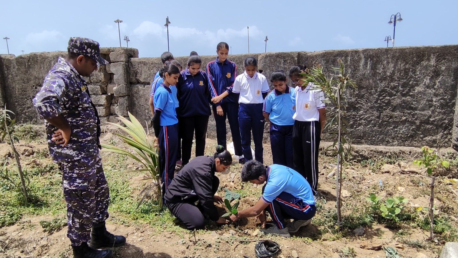 🌱🌍 World Environment Day Plantation Drive by NCC Students🌍🌱