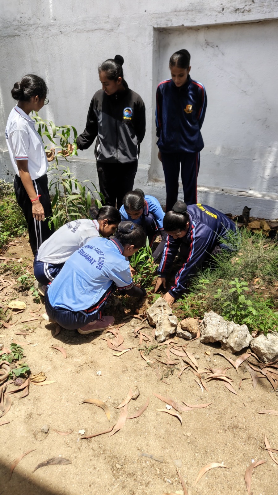 🌱🌍 World Environment Day Plantation Drive by NCC Students🌍🌱