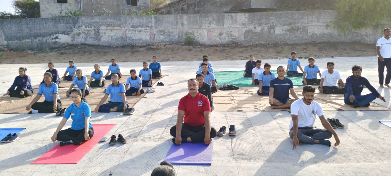 🧘‍♀️🌿 Pre-Yoga Day Activity & Online Certificate Course on Yoga 🌿🧘‍♂️