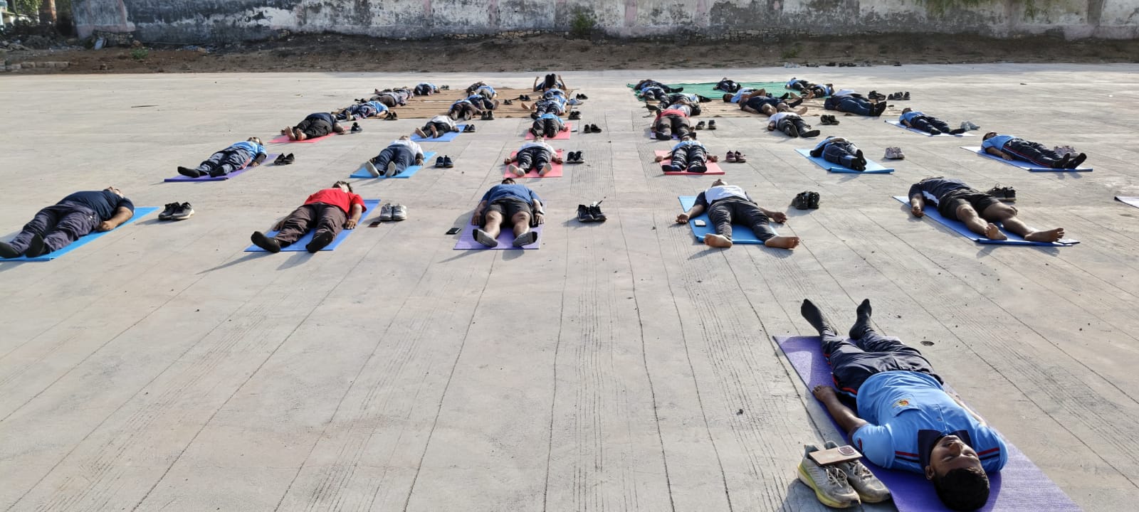 🧘‍♀️🌿 Pre-Yoga Day Activity & Online Certificate Course on Yoga 🌿🧘‍♂️